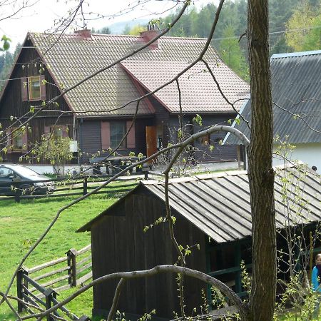 Salamandra Apartment Krempna Exterior foto