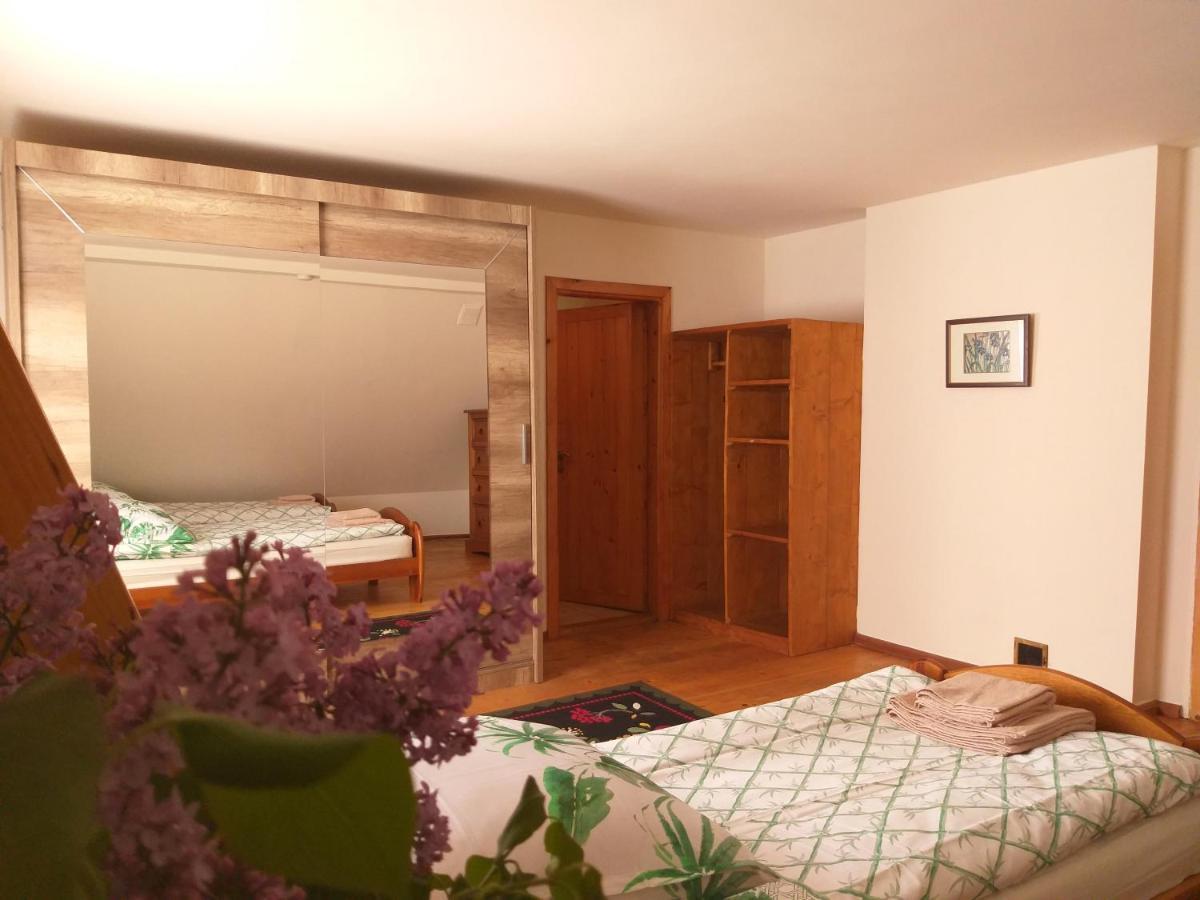 Salamandra Apartment Krempna Exterior foto