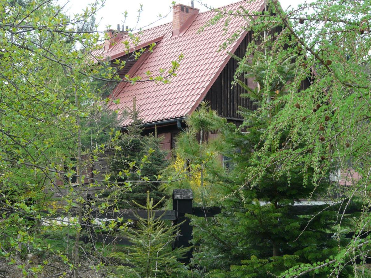Salamandra Apartment Krempna Exterior foto