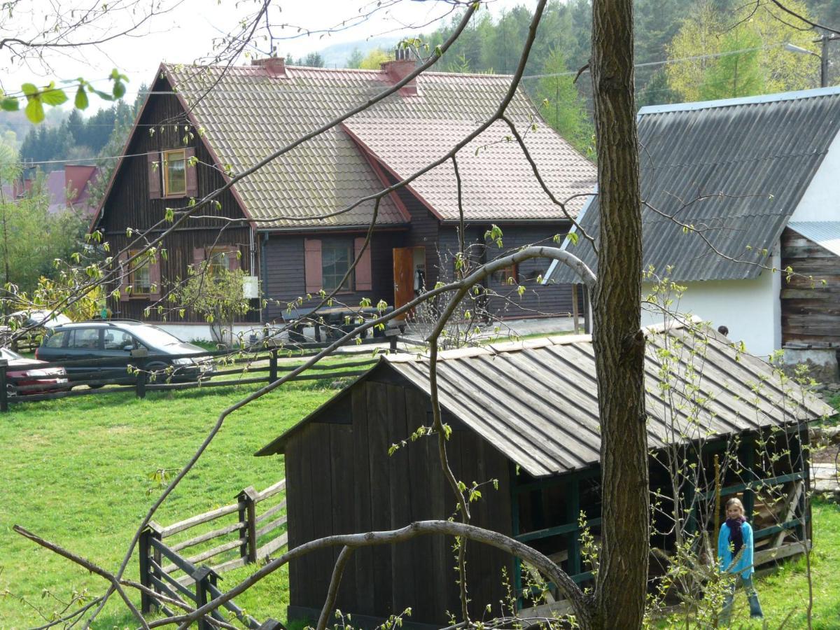 Salamandra Apartment Krempna Exterior foto